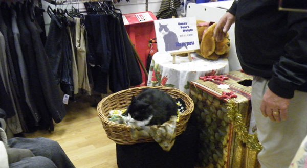 eastcotexmasfairrspca
