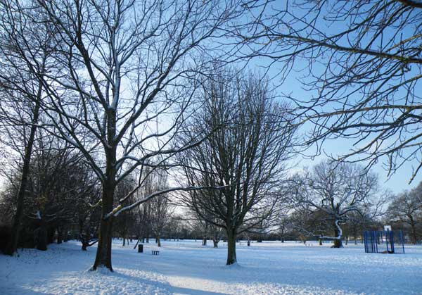 eascotewarrendersnow