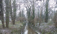 eastcotesnowpinn