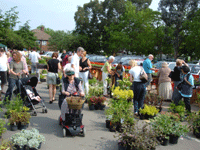 plantsale