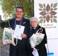 ulmus-londinium-eastcote