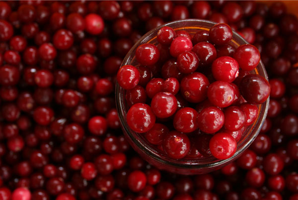 cranberries-lg-jul-24.jpg
