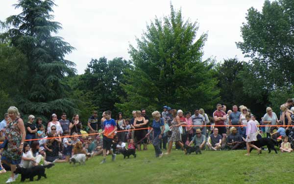ehs-dog-show-lg-jun-18.jpg