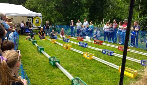 ehs-ferret-racing-lg-jun-18.jpg