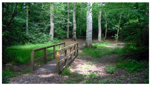 harrow-weald-walk-lg-may-22.jpg