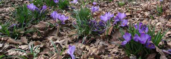Warrender Park Eastcote