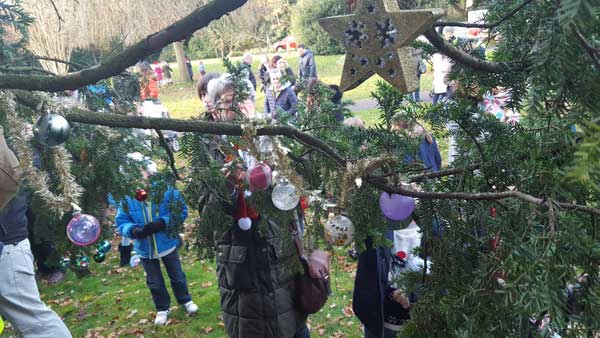 eastcote-tree-nov-116.jpg