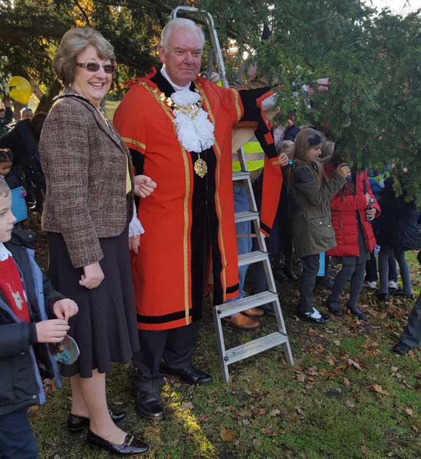eastcote-tree-nov-316.jpg
