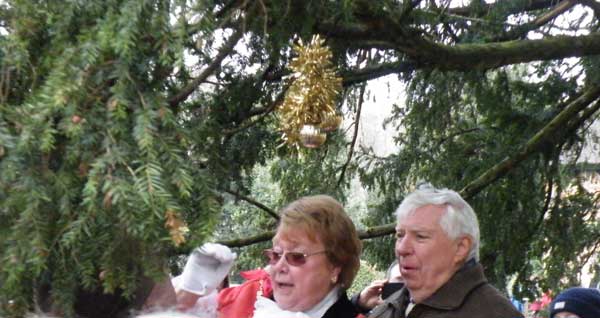 eastcote-h-tree-lg-nov-417.jpg