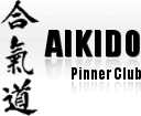 pinneraikidologo
